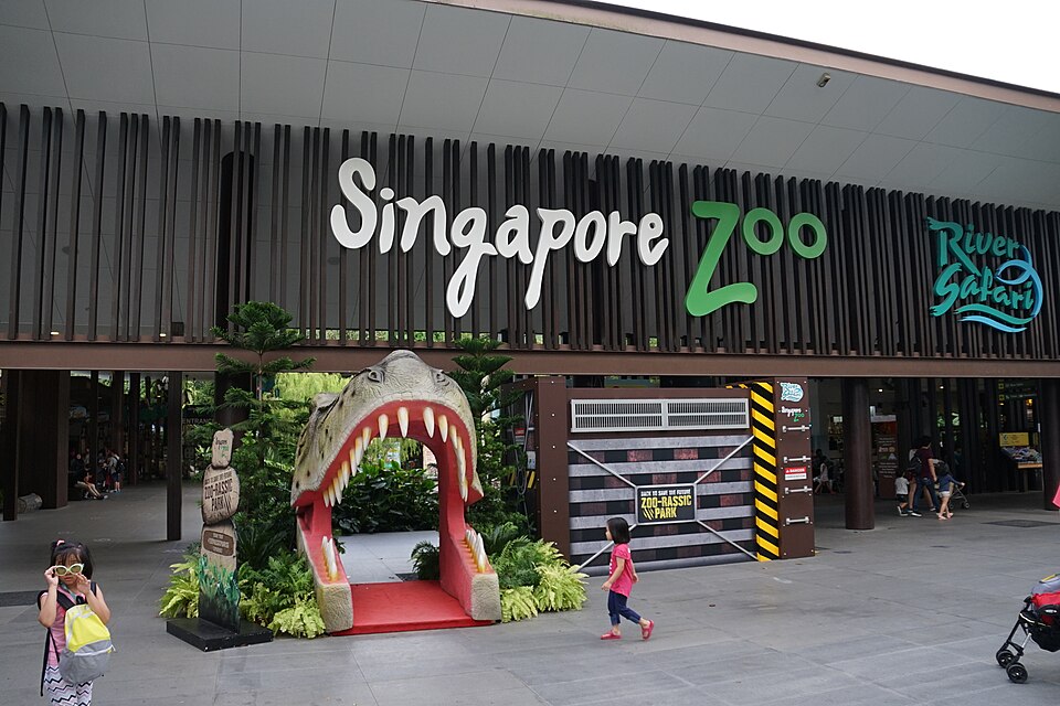 6. Singapore Zoo & Night Safari – Wildlife Encounters Like No Other
