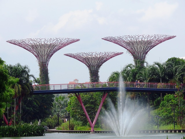 2. Gardens by the Bay – Where Nature Meets Innovation